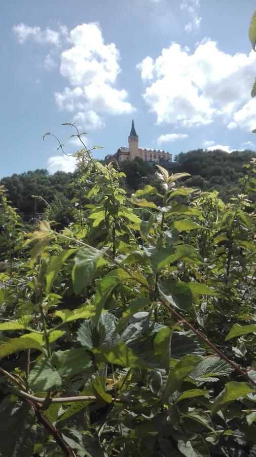 Appartement Lucka à Ústí nad Labem Extérieur photo